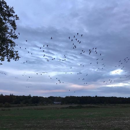 Vakantiehuis Appelvink, Toplocatie In Bosrijke Omgeving Oisterwijk Esterno foto