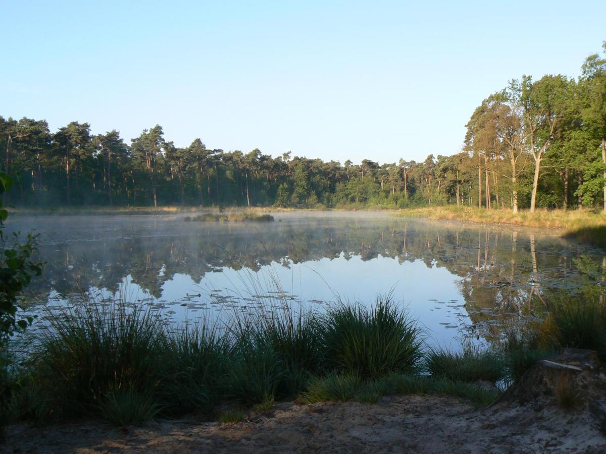 Vakantiehuis Appelvink, Toplocatie In Bosrijke Omgeving Oisterwijk Esterno foto