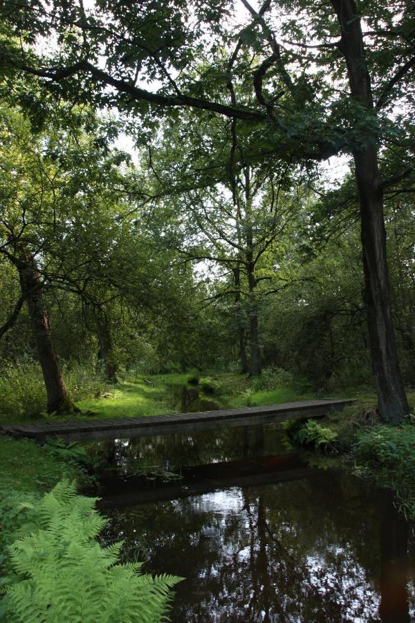 Vakantiehuis Appelvink, Toplocatie In Bosrijke Omgeving Oisterwijk Esterno foto