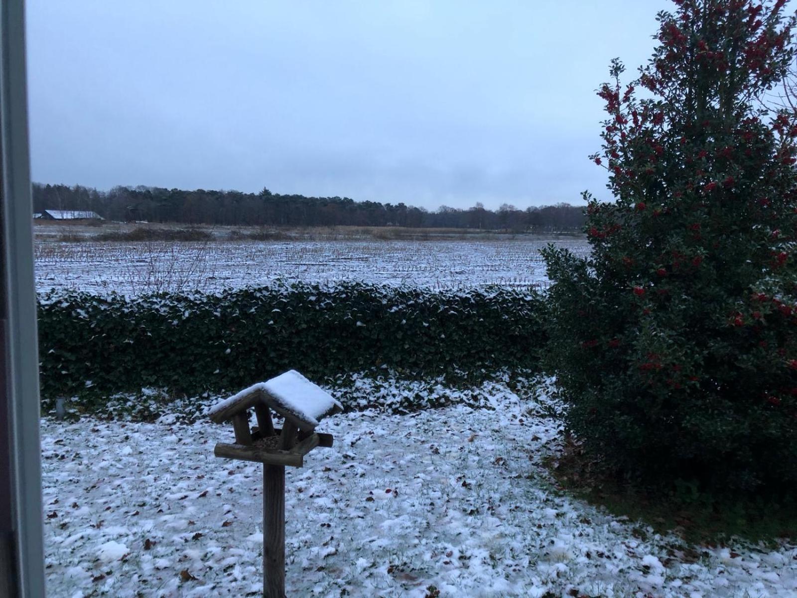 Vakantiehuis Appelvink, Toplocatie In Bosrijke Omgeving Oisterwijk Esterno foto